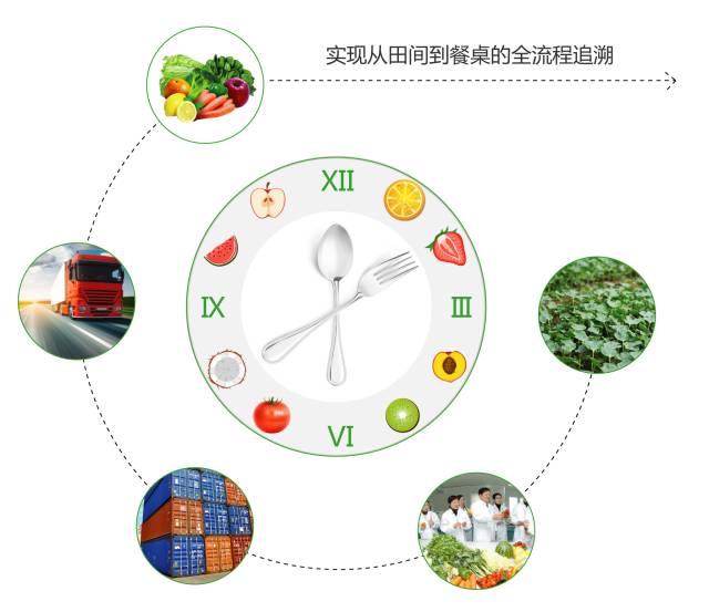 实现从田间到餐桌的全流程追溯 实现从田间到餐桌的全流程追溯